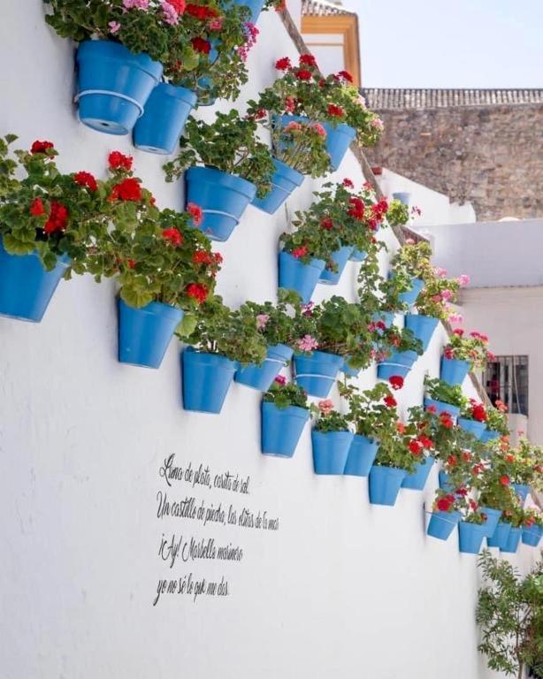 Appartamento Jardines Del Mar ,Casa Apolonia Marbella Esterno foto